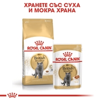 ROYAL CANIN® FBN BRITISH SHORTHAIR за британски късокосмести котки в зряла възраст - над 12 месеца (хапки в сос)хапки в сос