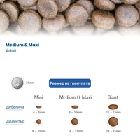 N&D Tropical Selection Dog Adult Medium & Maxi Chicken and Tropical fruits – суха храна за кучета над 1 година от средни и едри породи, с пилешко, спелта, овес и тропически плодове