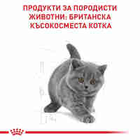 ROYAL CANIN® FBN BRITISH SHORTHAIR KITTEN за подрастващи британски късокосмести котки (до 12 месеца)