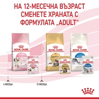 ROYAL CANIN® FHN KITTEN за 2-ра фаза на растеж при подрастващи котенца до 12 месеца (пастет)