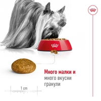 ROYAL CANIN® SHN X-SMALL ADULT – за кучета в зряла възраст от много дребни породи (тегло до 4 кг) - над 10 месеца