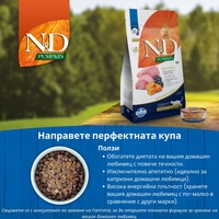 N&D Cat Pumpkin Lamb & Blueberry – пълноценна мокра храна без зърнени култури за котки над 1 година с агнешко, тиква и боровинки, консерва