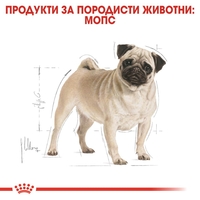ROYAL CANIN® BHN PUG ADULT - за кучета в зряла и напреднала възраст порода мопс - над 10 месеца, 1.5 кг