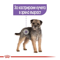 ROYAL CANIN® CCN MINI STERILISED за кастрирани кучета в зряла възраст от дребни породи (от 1 до 10 кг) - над 10 месеца - кучета със склонност към натрупване на наднормено тегло