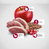 N&D Quinoa Hairball with Duck & Cranberry , Cat Adult – суха храна без зърнени култури против космени топки, за котки над 1 година, с патешко, киноа, ябълка и червени боровинки