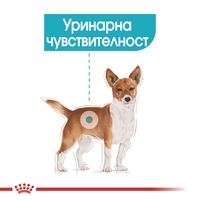 ROYAL CANIN® CCN URINARY CARE за кучета в зряла възраст над 10 месеца - с предразположеност към уринарна чувствителност