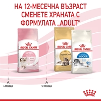 ROYAL CANIN® FHN KITTEN за подрастващи котенца до 12 месеца