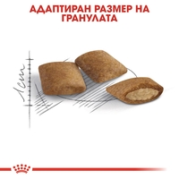 ROYAL CANIN® FHN AGEING 12+ за котки в напреднала възраст над 12 години