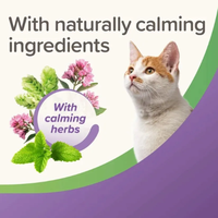 Beaphar StressLess - Билкови успокояващи хапки за котки, 35 гр