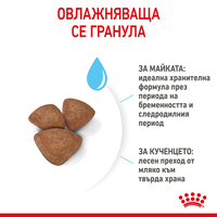 ROYAL CANIN MINI Starter Mother & Babydog 1 кг