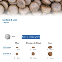 N&D Pumpkin Dog Chicken & Pomegranate Starter Puppy – суха храна за подрастващи кученца от всички породи с пилешко, тиква и нар