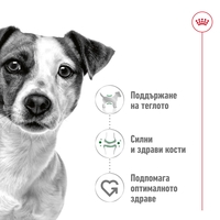 ROYAL CANIN® SHN MINI ADULT – за кучета в зряла възраст от дребни породи (до 10 кг) - над 10 месеца