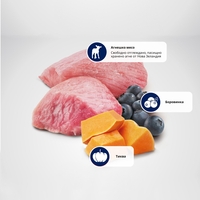 N&D Cat Pumpkin Lamb & Blueberry – пълноценна мокра храна без зърнени култури за котки над 1 година с агнешко, тиква и боровинки, консерва