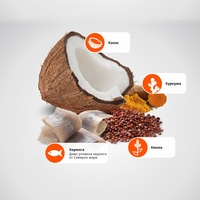 N&D Quinoa Skin & Coat with Herring, Adult MINI – суха храна без зърнени култури за здрава кожа и козина, за кучета над 1 година от дребни породи, с херинга, киноа, кокос, и куркума