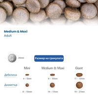 N&D Pumpkin Chicken & Pomegranate Adult Medium & Maxi – суха храна без зърнени култури за кучета над 1 година от средни и едри породи, с пилешко, тиква и нар