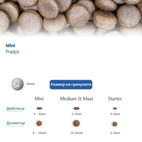 N&D Pumpkin Lamb & Blueberry Puppy MINI – суха храна без зърнени култури за подрастващи кученца от дребни породи с агнешко, тиква и боровинки