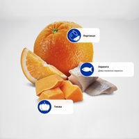 N&D Ocean Herring, Pumpkin & Orange Adult Cat – суха храна без зърнени култури за котки, с херинга, тиква и портокал