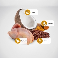 N&D Quinoa Skin & Coat with Quail for adult MINI dog – суха храна без зърнени култури за здрава кожа и козина, за кучета над 1 година от дребни породи, с пъдпъдък, киноа, кокос, и куркума