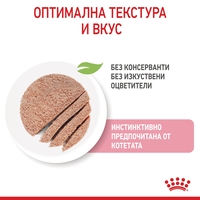 ROYAL CANIN® FHN KITTEN за 2-ра фаза на растеж при подрастващи котенца до 12 месеца (пастет)