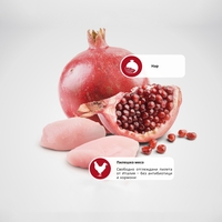 N&D Prime Cat Neutered Chicken & Pomegranate – суха храна без зърнени култури за кастрирани котки, с пилешко и нар