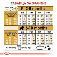 ROYAL CANIN® BHN CAVALIER KING CHARLES SPANIEL PUPPY за подрастващи кучета порода кавалер кинг чарлз шпаньол – до 12 месеца