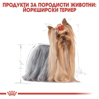 ROYAL CANIN® BHN YORKSHIRE ADULT за кучета в зряла и напреднала възраст порода йоркширски териер - над 10 месеца