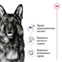 ROYAL CANIN® SHN MAXI ADULT  - за кучета в зряла възраст от едри породи (от 26 до 44 кг) - над 15 месеца