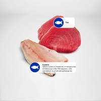 N&D Ocean Tuna & Salmon Adult Cat – мокра храна без зърнени култури за котки над 1 година, с риба тон и сьомга, консерва