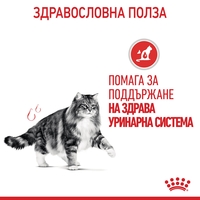 ROYAL CANIN® FCN CARE URINARY за котки в зряла възраст (хапки в сос)