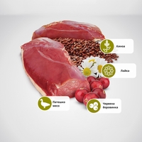 N&D Quinoa Urinary with Duck & Cranberry , Cat Adult – суха храна без зърнени култури за здрав уринарен тракт, за котки над 1 година, с патешко, киноа, червена боровинка и лайка