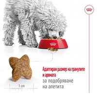 ROYAL CANIN® SHN MINI ADULT – за кучета в зряла възраст от дребни породи (до 10 кг) - над 10 месеца