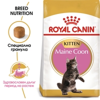 ROYAL CANIN® FBN MAINE COON KITTEN за подрастващи котенца от порода мейн куун (до 15 месеца)