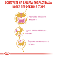 ROYAL CANIN® FBN BRITISH SHORTHAIR KITTEN за подрастващи британски късокосмести котки (до 12 месеца)