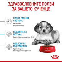 ROYAL CANIN® SHN MEDIUM PUPPY  за подрастващи кучета от средни породи (тегло в зряла възраст от 11 до 25 кг) - до 12 месеца