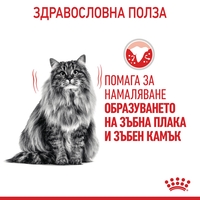 ROYAL CANIN® FCN DENTAL CARE CAT за котки в зряла възраст