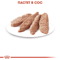ROYAL CANIN® FHN STERILISED за кастрирани котки над 12 месеца (пастет) - 85 гр