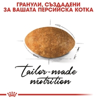 ROYAL CANIN® FBN PERSIAN ADULT за персийски котки в зряла възраст - над 12 месеца