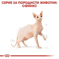 ROYAL CANIN® FBN SPHYNX ADULT за котки порода сфинкс в зряла възраст - над 12 месеца