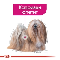 ROYAL CANIN® CCN MINI EXIGENT за кучета в зряла и напреднала възраст от дребни породи (от 1 до 10 кг) - над 10 месеца - кучета с капризен апетит