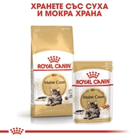 ROYAL CANIN® FBN MAINE COON ADULT за котки в зряла възраст порода мейн куун – над 15 месеца