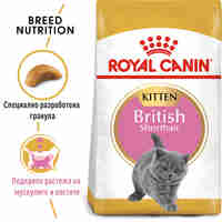 ROYAL CANIN® FBN BRITISH SHORTHAIR KITTEN за подрастващи британски късокосмести котки (до 12 месеца)
