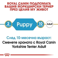 ROYAL CANIN® BHN YORKSHIRE PUPPY - за подрастващи кучета порода йоркширски териер - до 10 месеца