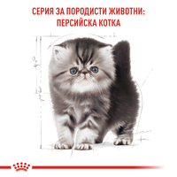 ROYAL CANIN® FBN PERSIAN KITTEN за подрастващи персийски котки (до 12 месеца)