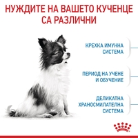 ROYAL CANIN® SHN X-SMALL PUPPY за подрастващи кучета от миниатюрни породи (тегло в зряла възраст до 4 кг) - до 10 месеца