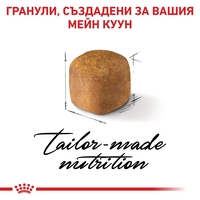 ROYAL CANIN® FBN MAINE COON KITTEN за подрастващи котенца от порода мейн куун (до 15 месеца)
