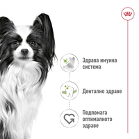 ROYAL CANIN® SHN X-SMALL ADULT – за кучета в зряла възраст от много дребни породи (тегло до 4 кг) - над 10 месеца