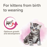 Beaphar Lactol - сухо мляко за котенца, 250 гр