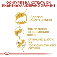 ROYAL CANIN® FBN PERSIAN ADULT за персийски котки в зряла възраст - над 12 месеца