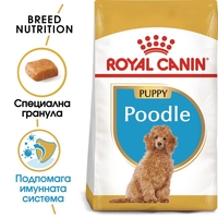 ROYAL CANIN® BHN POODLE PUPPY за подрастващи кучета порода пудел - до 10 месеца
