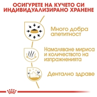 ROYAL CANIN® BHN CHIHUAHUA ADULT - за кучета порода чихуахуа на възраст над 8 месеца 1.5 кг